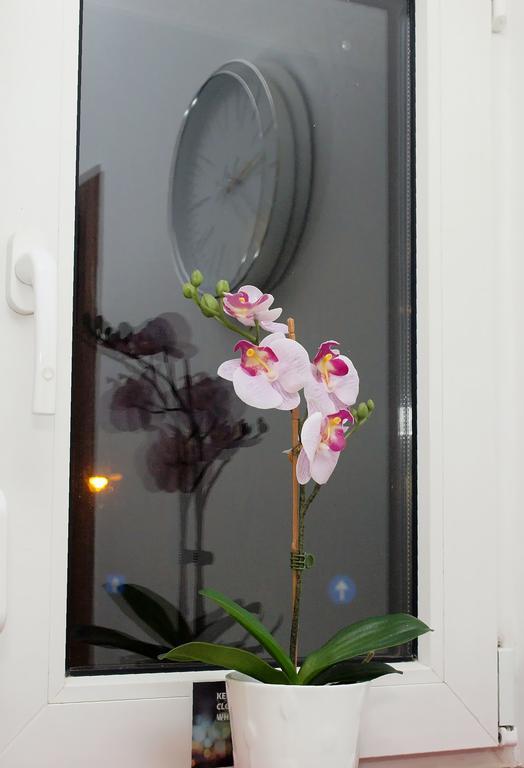 부쿠레슈티 Fancy 1Bd Family Friendly In Historical Centre 아파트 외부 사진